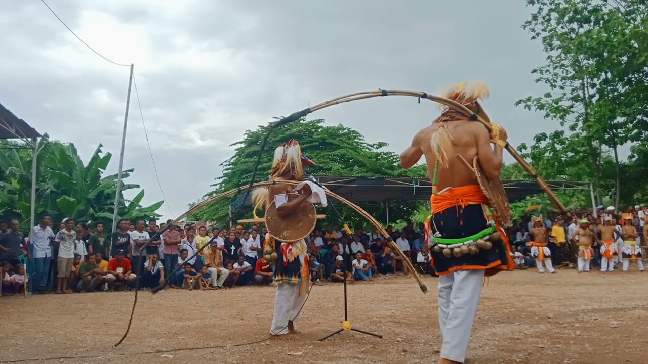 Lomes Tembak Mati Reba Lawi🔥//Caci Natas Bondo Borong..