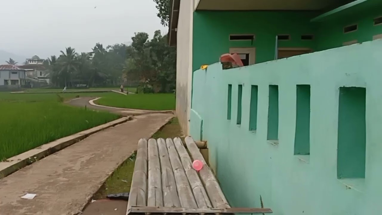 Perjalanan dari pesawahan masuk ke kampung cisalak hilir #