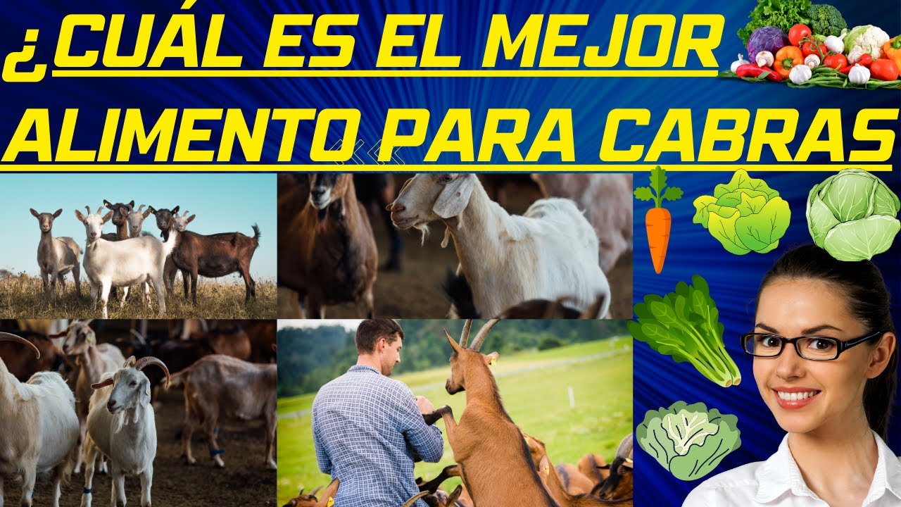 &iquest;Cu&aacute;l es el mejor alimento para Cabras