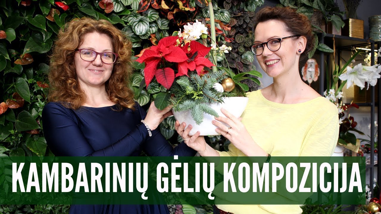 Skirtingi kambariniai augalai - į vieną kompoziciją! (kokedama būdu)