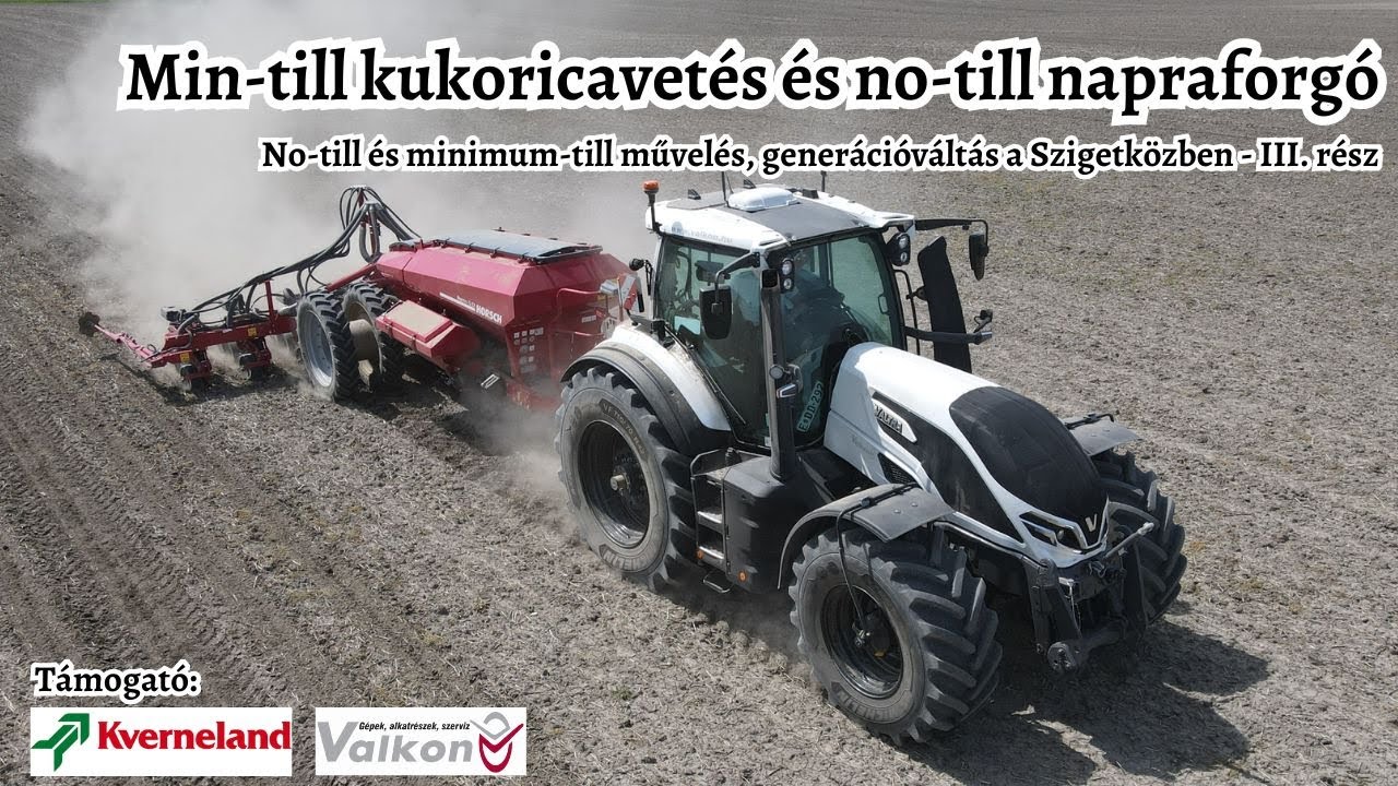 Min-till kukoricát vetettünk, no-till napraforgót szemléztünk - No-till és min-till Halásziban III.