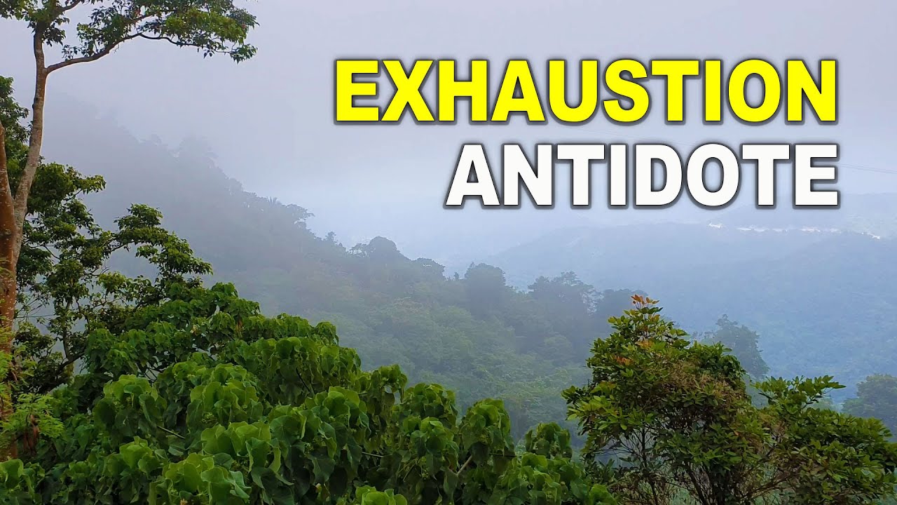 Antidote For Exhaustion [PRIME COUNTDOWN]