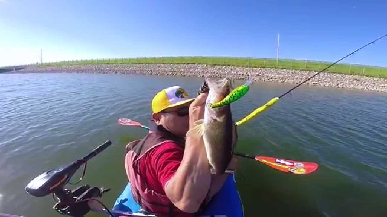 Cotton Cordell Magnum Wally Diver Walleye Fishing