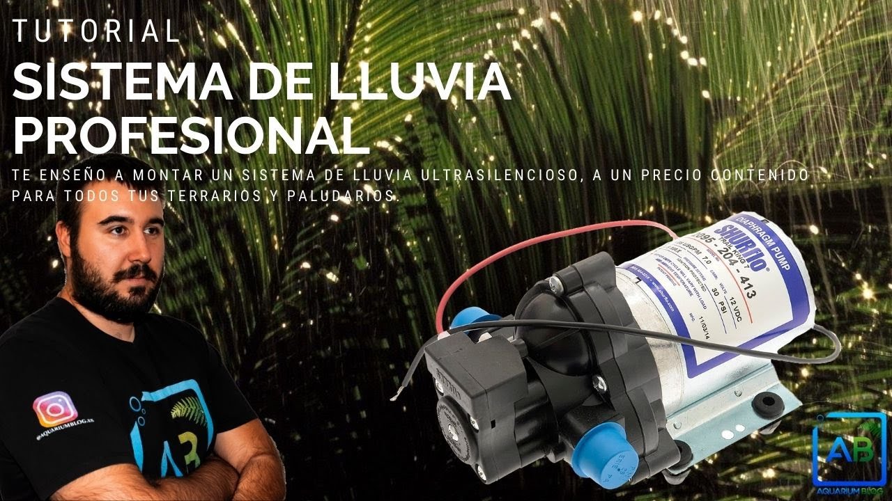 ✔️COMO HACER UN SISTEMA DE LLUVIA PROFESIONAL Y CASERO PARA PALUDARIOS Y TERRARIOS.