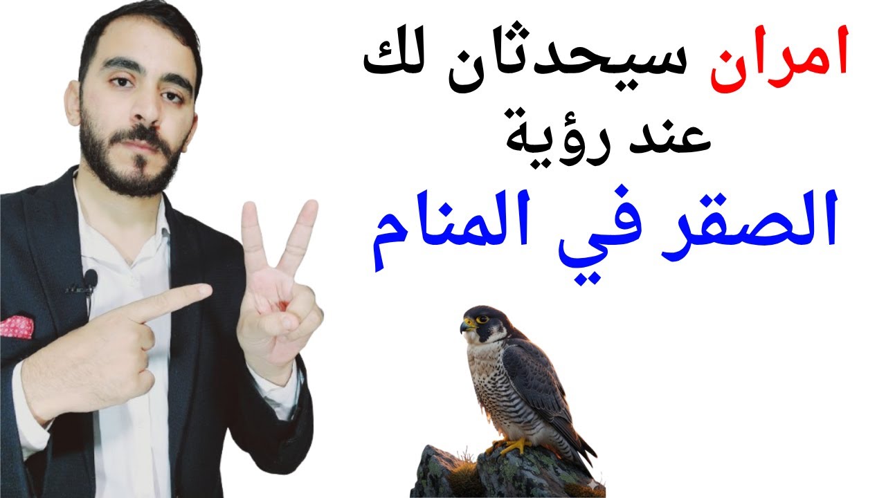 امران سيحدثان لك عند رؤية الصقر في المنام l تفسير حلم رؤية الصقر والصقور في المنام بالتفصيل