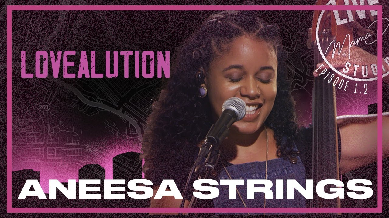 Aneesa Strings 