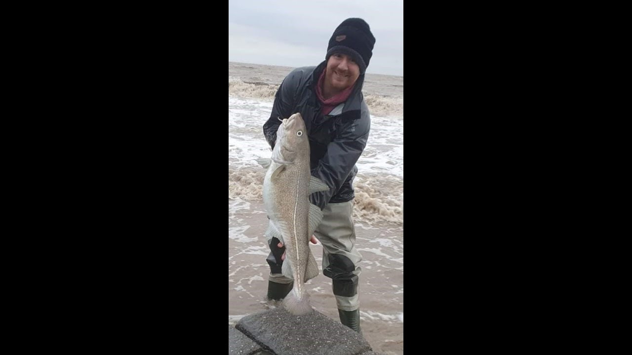 Devon Fish Hunt / Bonus Picture of Recent 15lb Cod