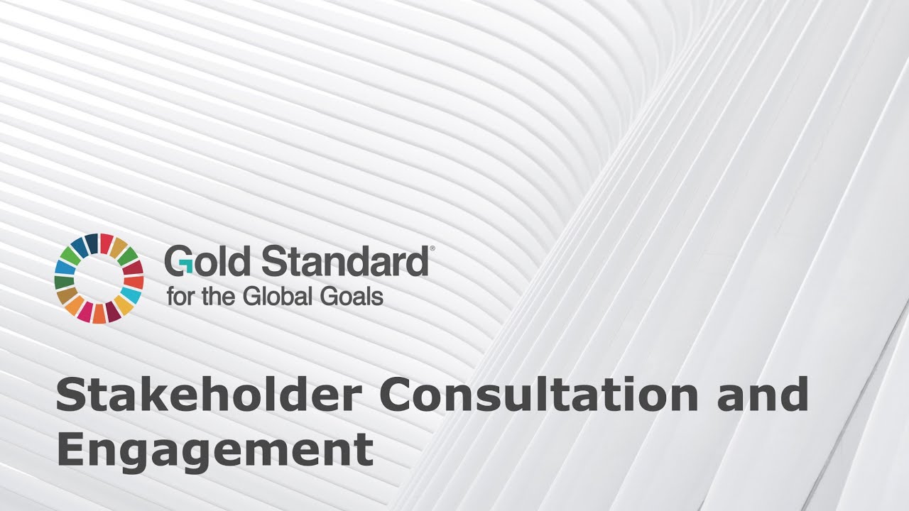 GS4GG Webinar - Stakeholder Consultation and Engagement