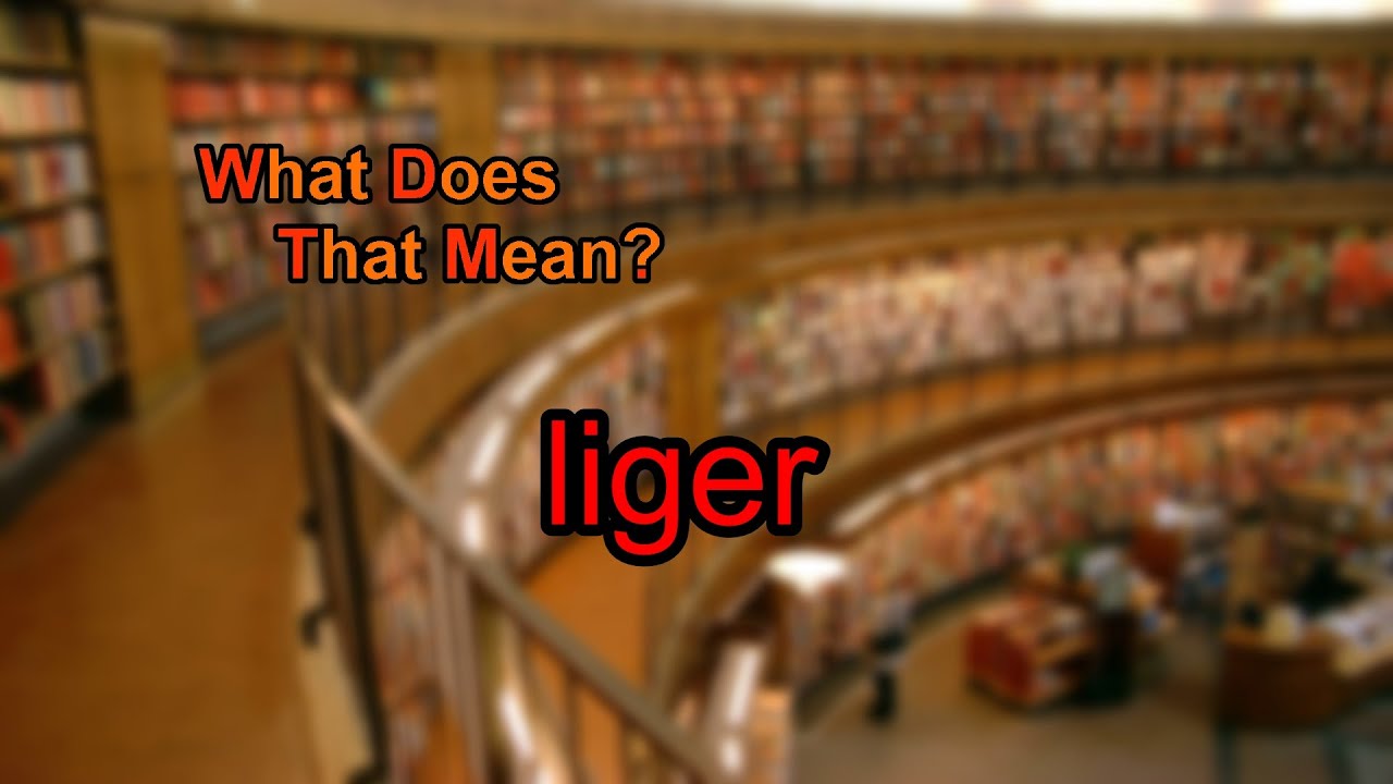 What does liger mean?