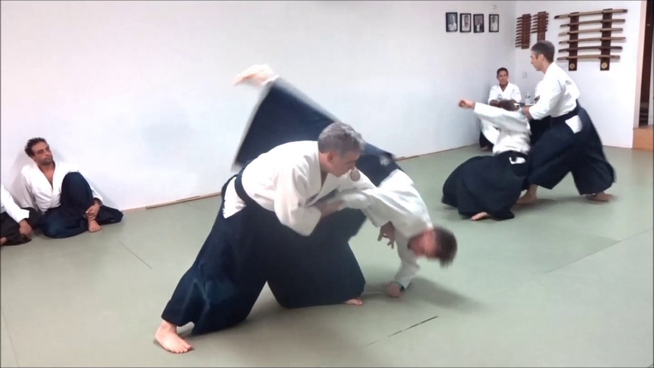 Aikido Red Bank - Nidan Test Dec 2016 NYC