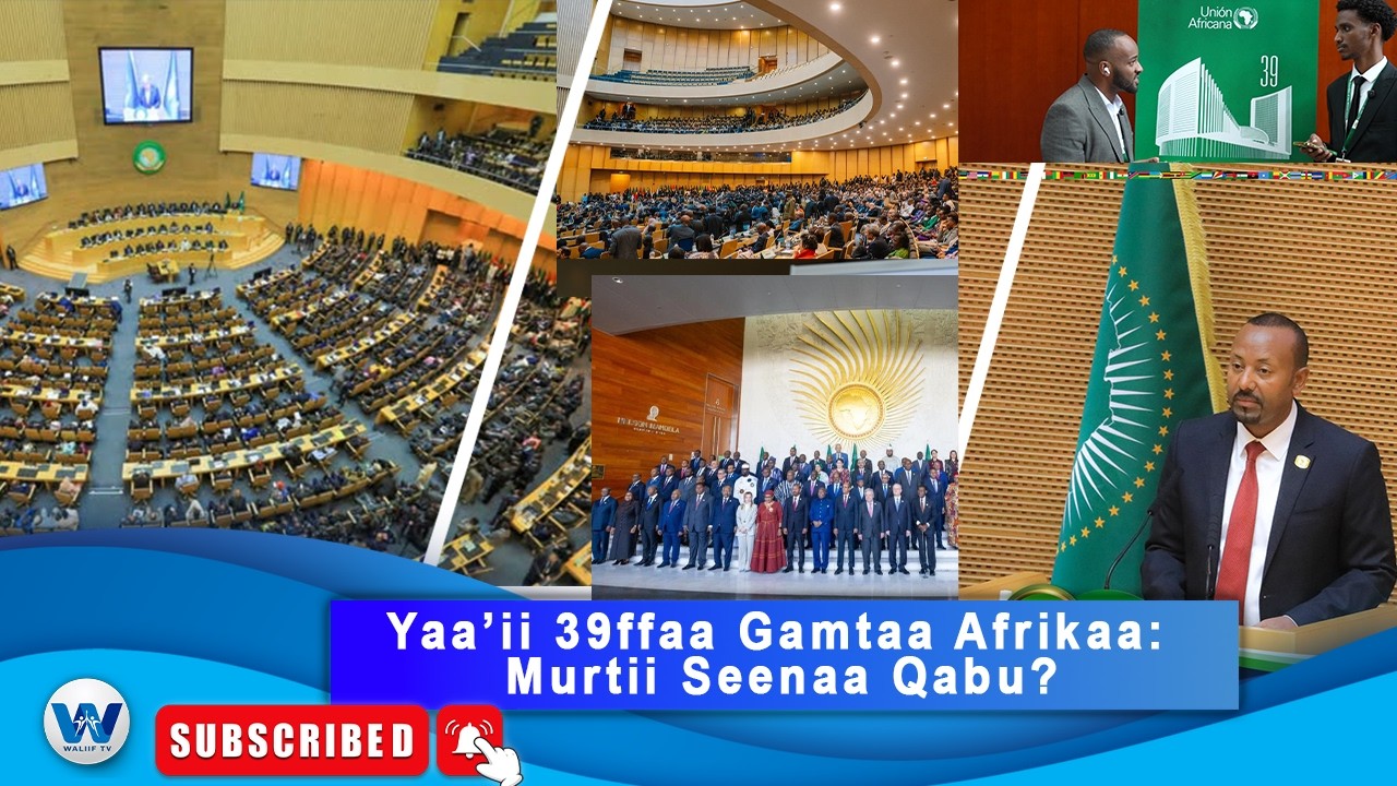Yaa'ii Gamtaa Afrikaa irratti MM Abiy fi Barreessaan Olaanaa UN maal jedhan?