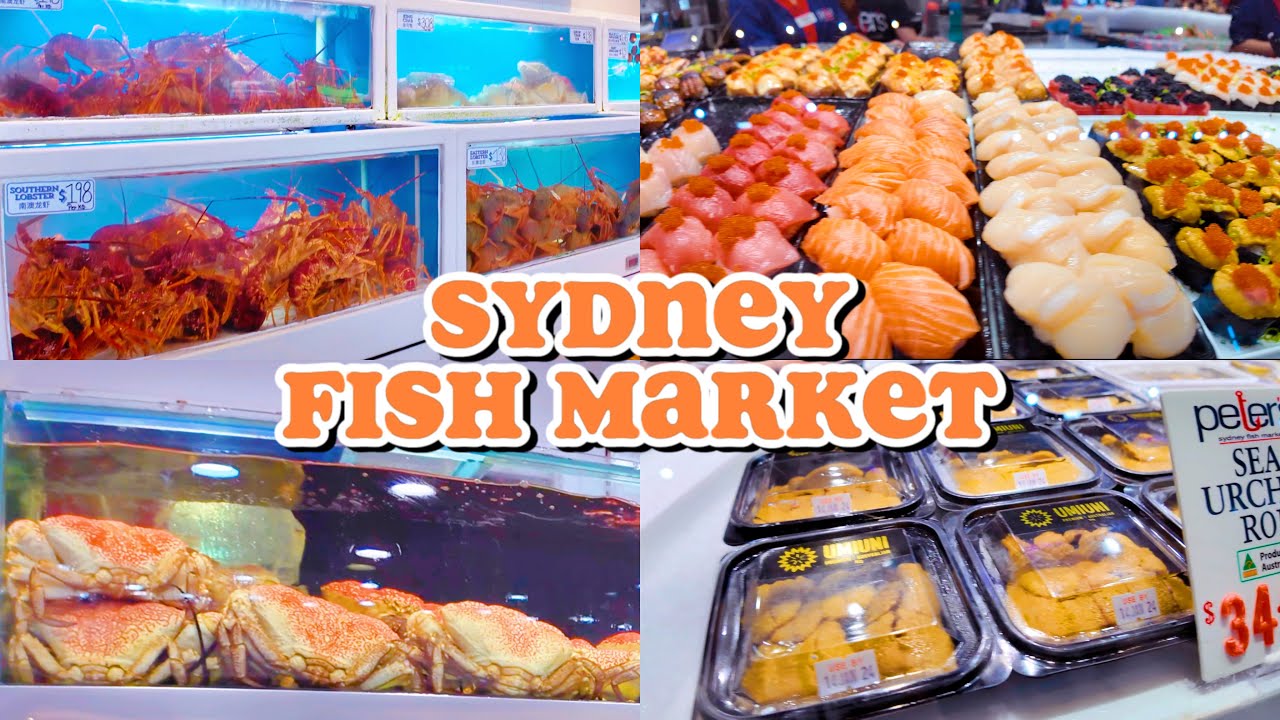 [4K] SYDNEY FISH MARKET TOUR • Seafood • Sushi & Sashimi • Wagyu Beef｜FOOD｜ELLE‘s Guide