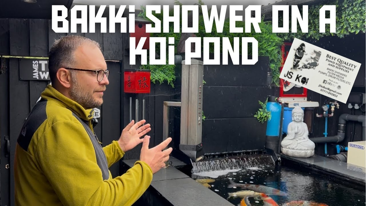 THIS IS A GREAT WAY TO IMPROVE YOUR KOI POND**JSKOI BAKKI SHOWERS**