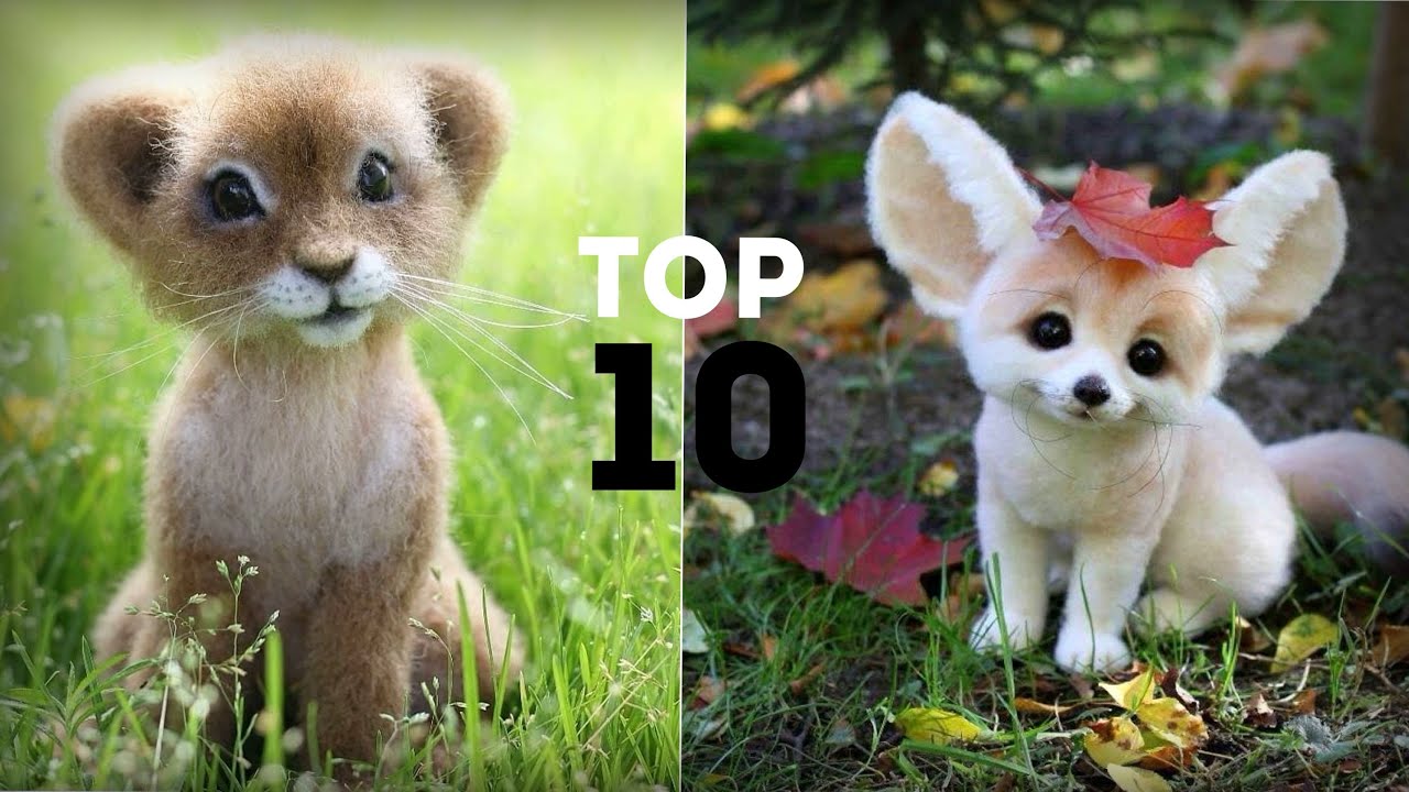 ТОП 10 Самых Милых Экзотических Домашних Животных | МИЛОТА