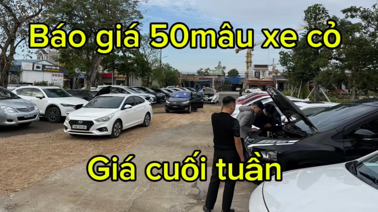 Cuối tuần báo giá tương tác cùng Đức hà 50mẫu xe cỏ cho ae quan tâm 