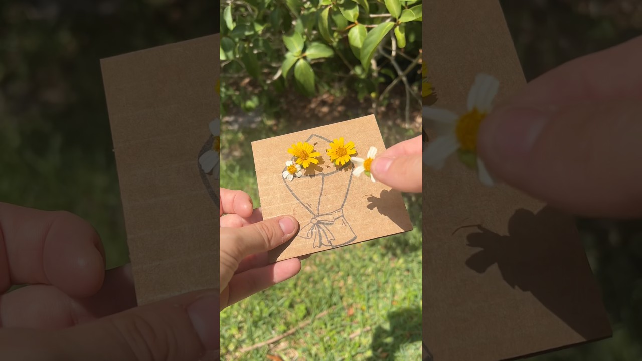 cute things to do when you&rsquo;re bored this summer 🌼☀️ @deryatavas