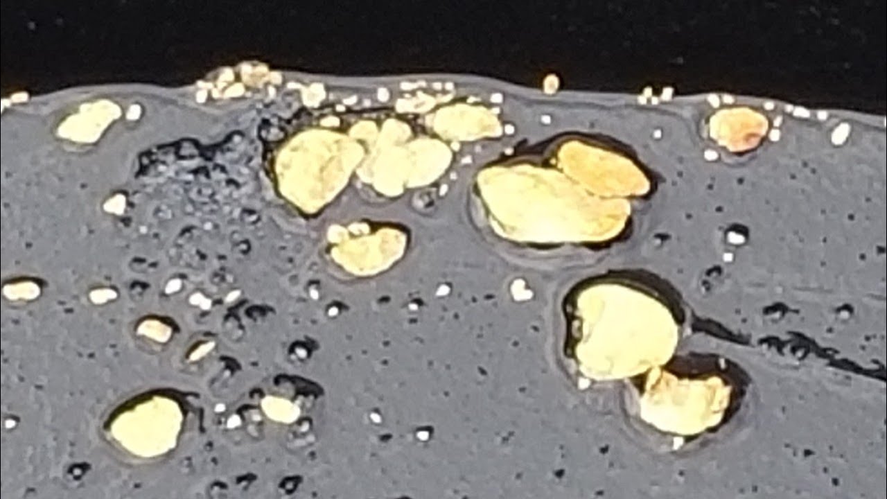 Gold Prospecting BC