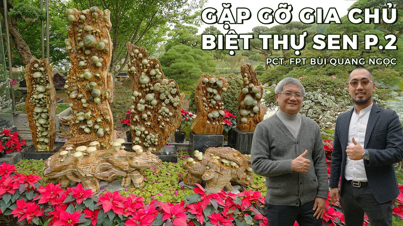 BST Đá Ngọc & Gỗ Hóa Thạch ĐỘC NHẤT VÔ NHỊ của Chủ nhân Biệt Thự Sen BÙI QUANG NGỌC - P.2 | NHATO