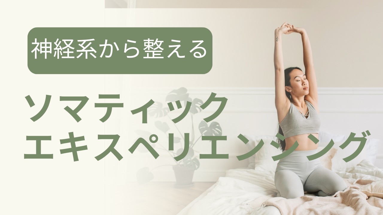 神経から整える, ソマティック エキスペリエンシング（SE）　キッカで提供している心の手当て、カウンセリング、セラピー、トラウマ治療の紹介です。