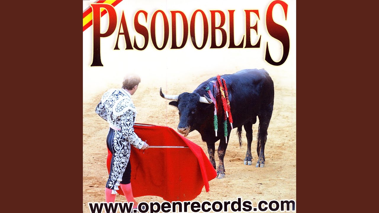 Tengo Miedo Torero