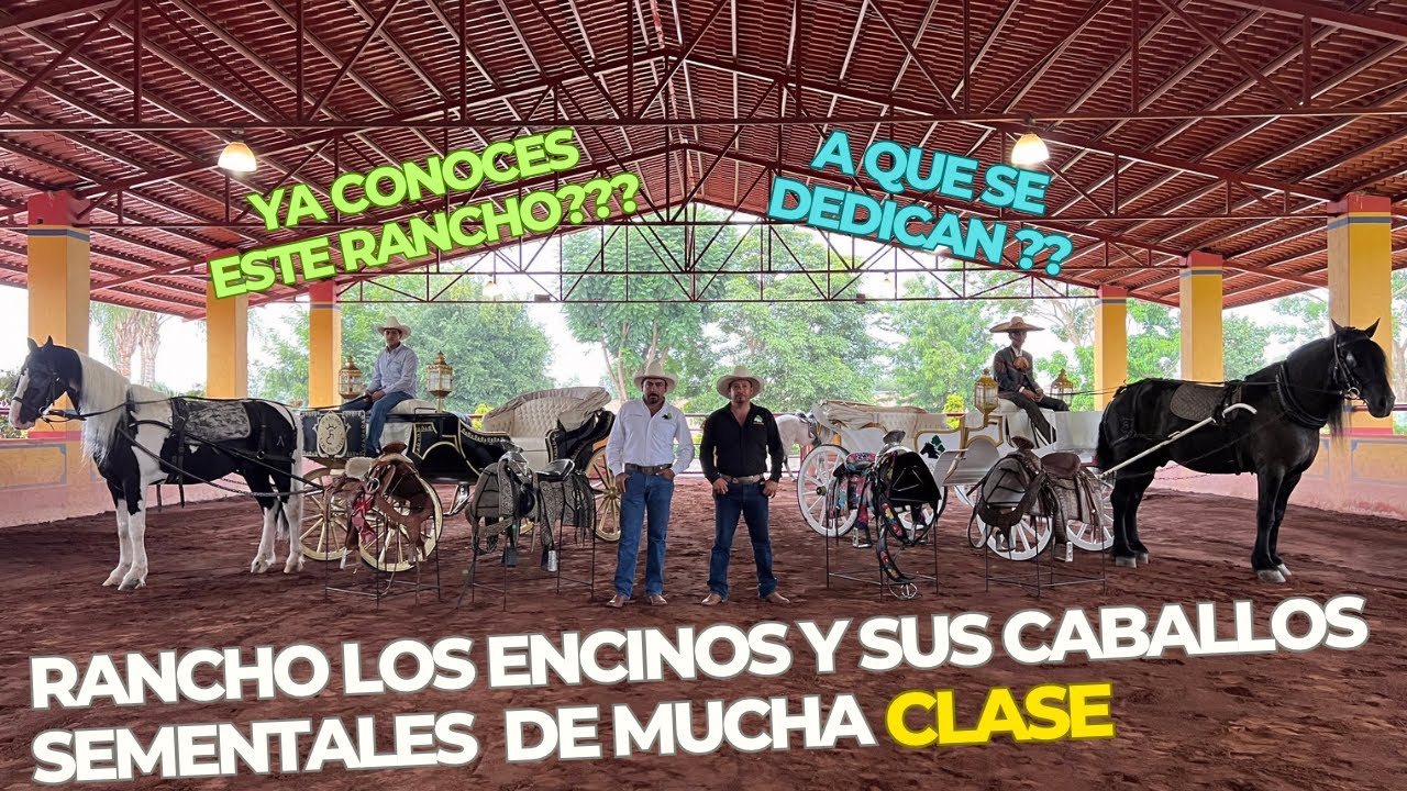 CONOCE TODO LO QUE NOS OFRECE RANCHO LOS ENCINOS Y SU CUADRA