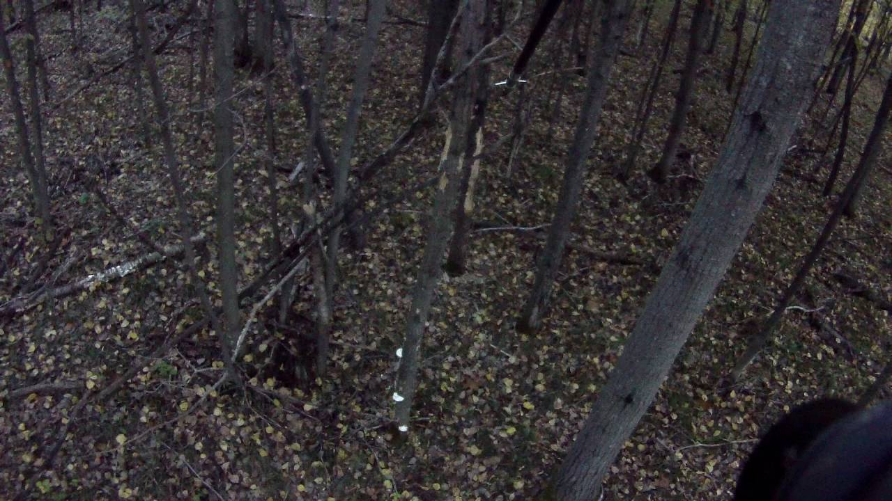midwest bow hunt 2016