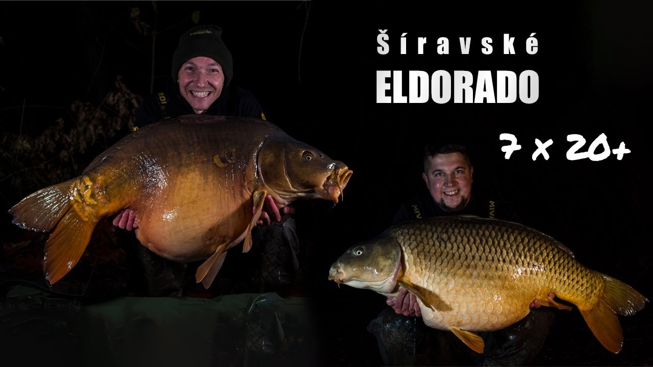 Šíravské ELDORADO I 7 kaprov cez 20kg I Lov kaprov I Zemplínska Šírava