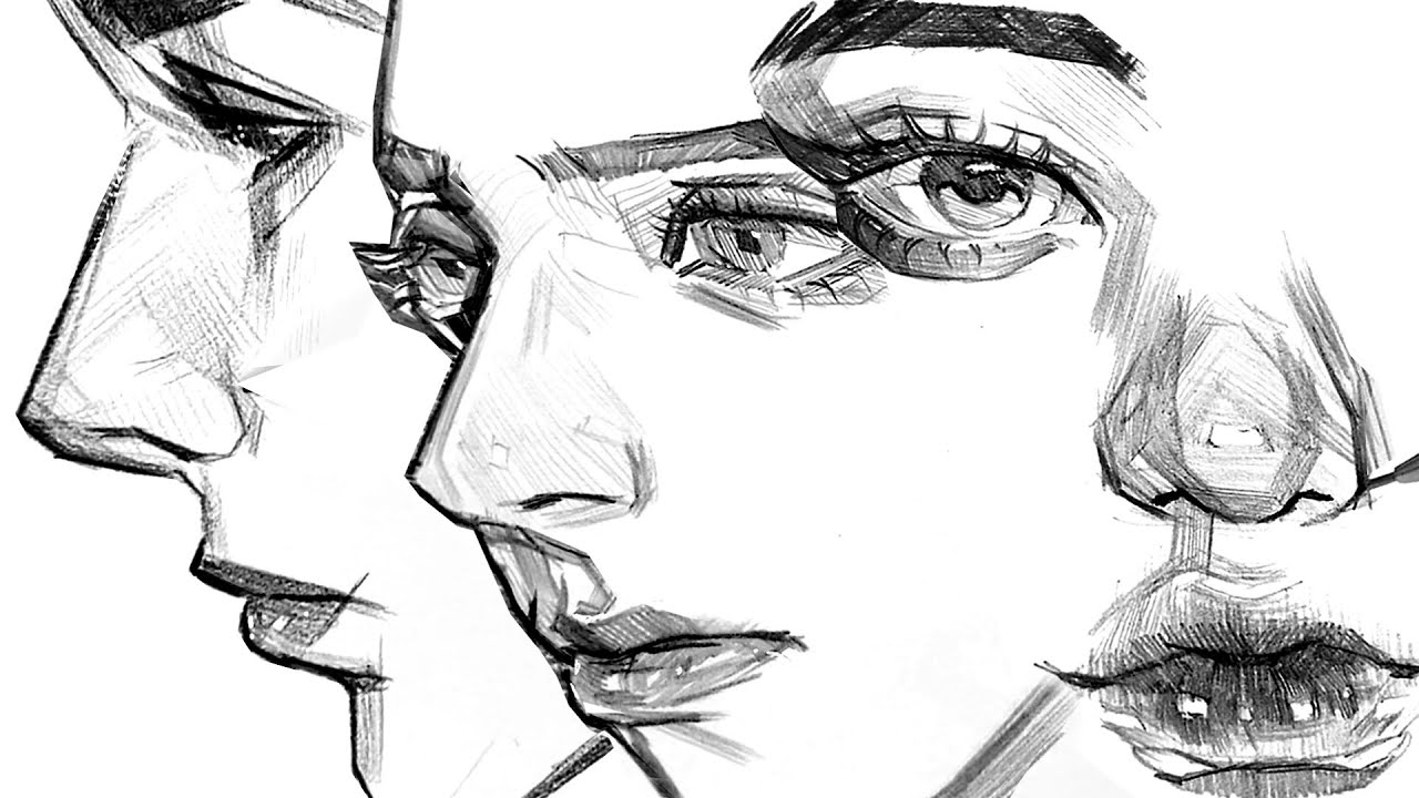 ✨ CROSS HATCH YOU SHOULD FOLLOW [ FRONT, 3/4FACE, SIDE PROFILE ] ✨
