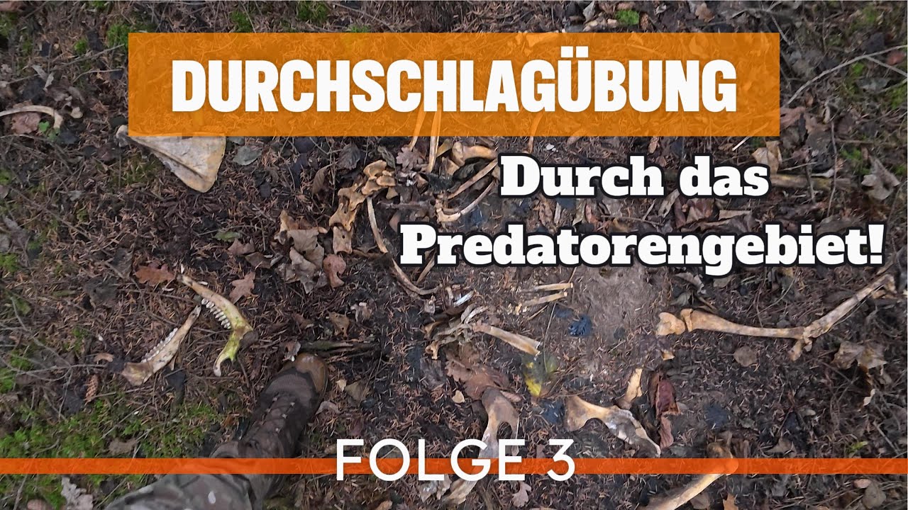 FOLGE 3 I  Der Rückweg, es geht DURCH das PREDATOREN-Gebiet