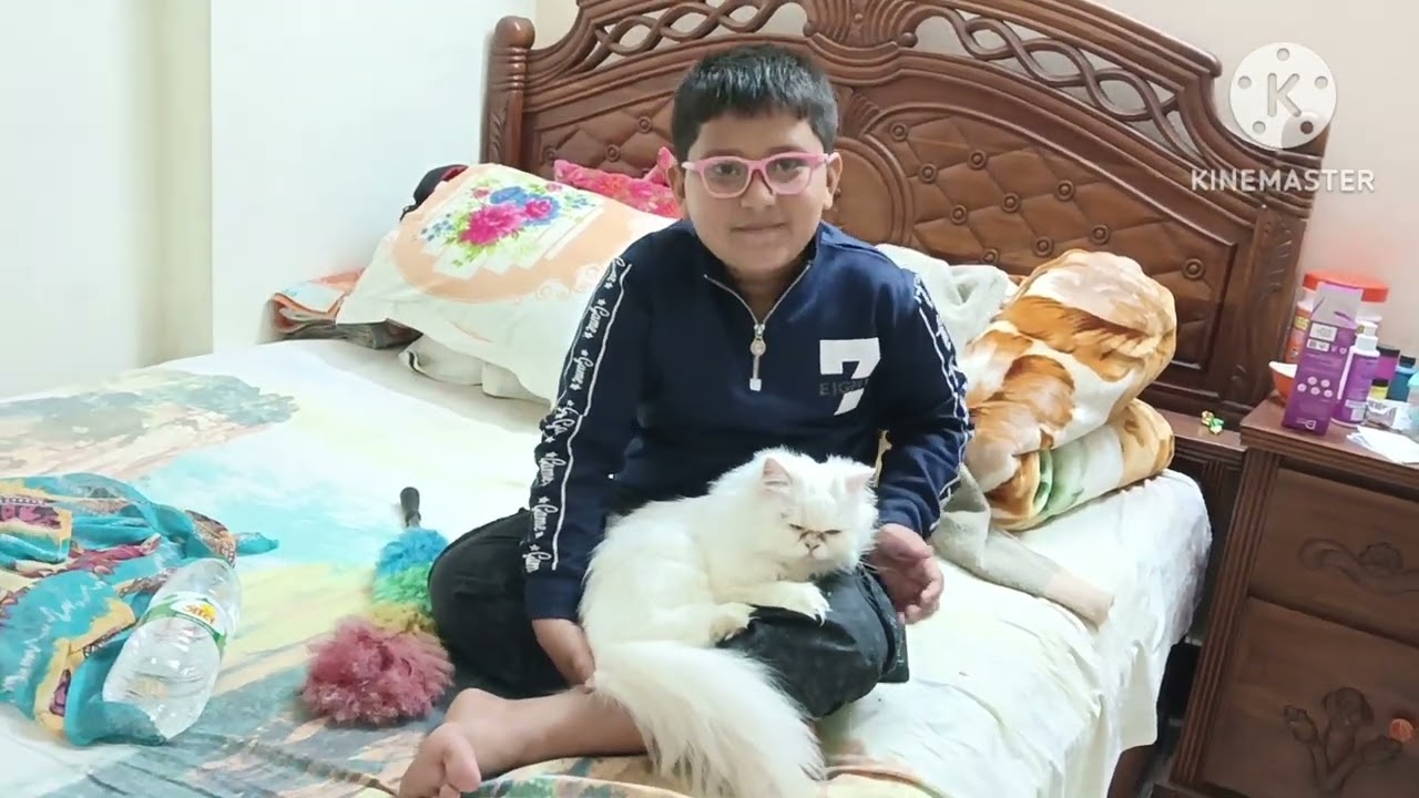 বিড়াল নিয়ে ঘোরাঘুরি তো অনেক হলো।travel with my cat 