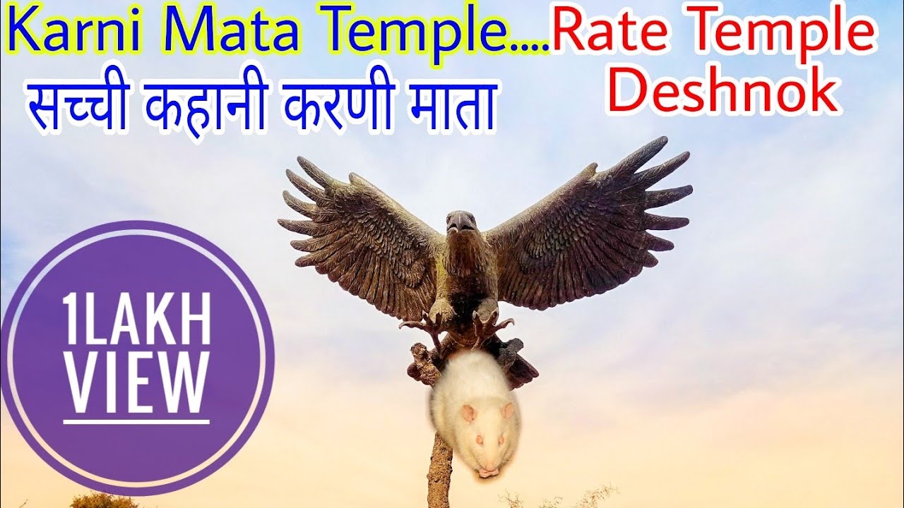 || चूहे वाली करणी माता मंदिर देशनोक || Ep~1 mouse temple rajasthan