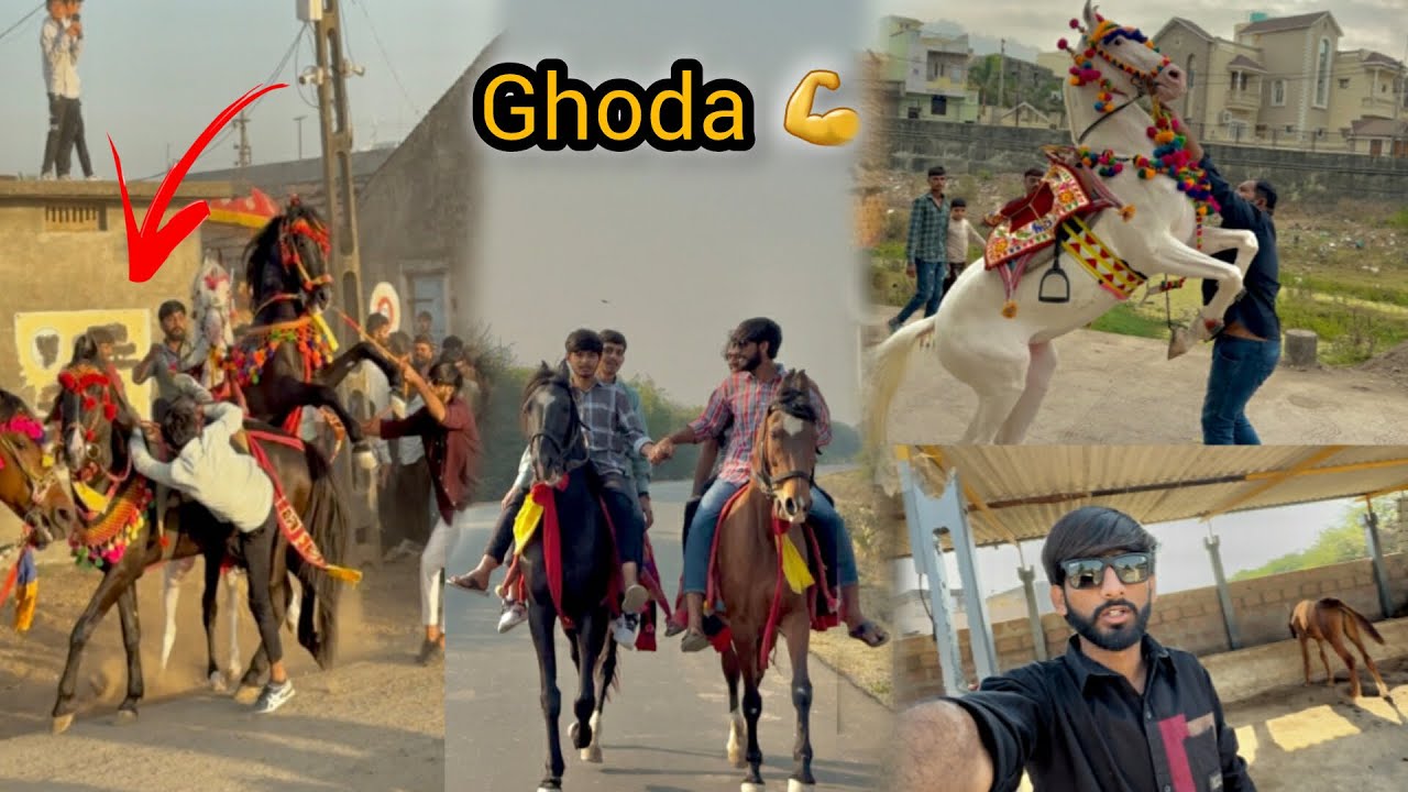 Aaj to GHODE ne tabahi machadi 😳