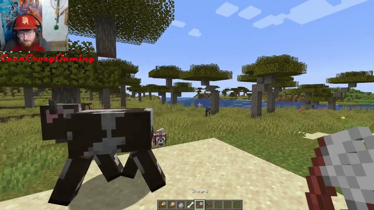 Minecraft Snapshot Review 23W51B - The Armadillos and Wolf Armor