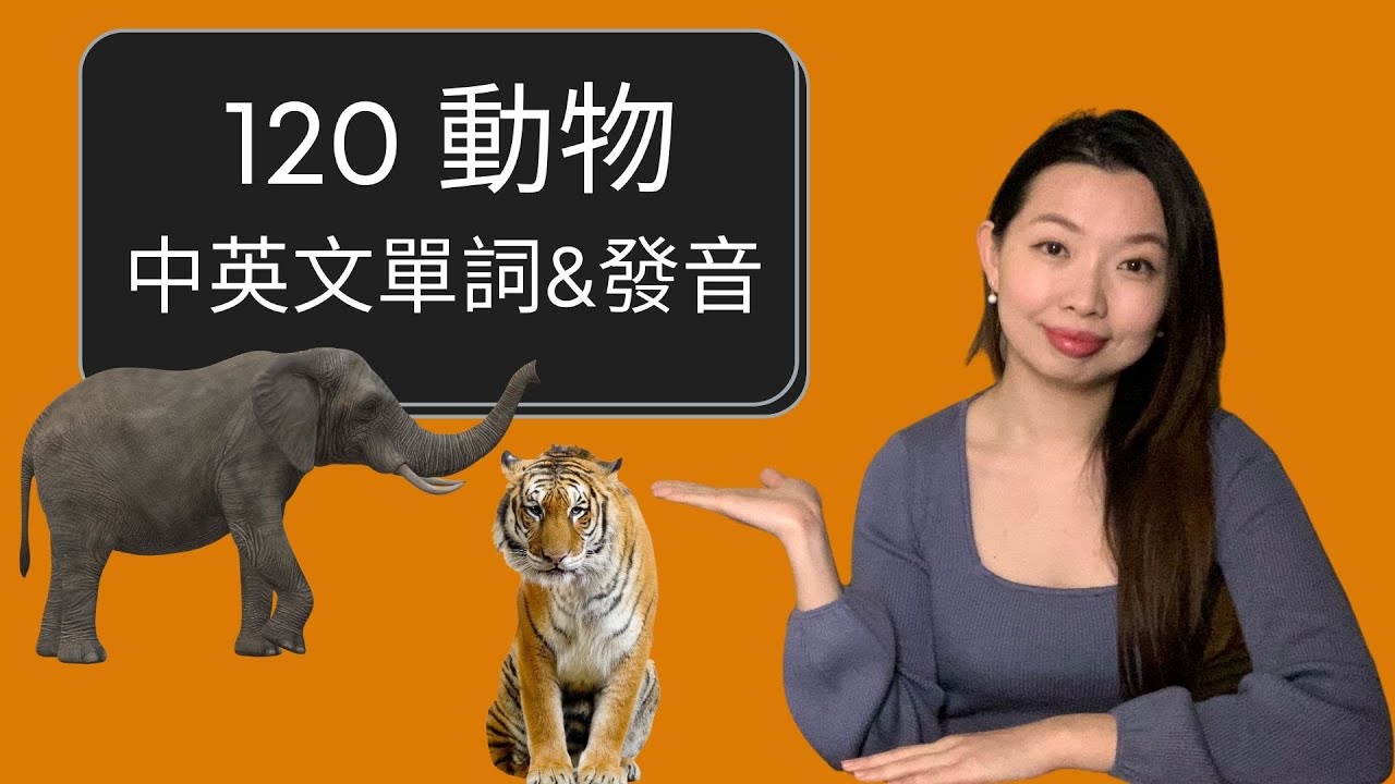 120個動物（包含哺乳動物，昆蟲，兩棲動物，海生動物）中英文單詞&發音懶人包 ｜Learn 120 Animals in English & Mandarin  | 【生活英文單詞系列】