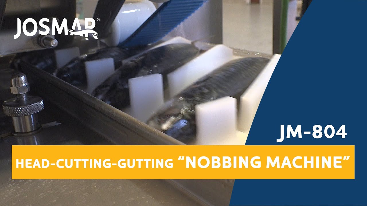 JM-804 Head Cutting & Gutting Machine (nobbing machine) | Descabezadora-Evisceradora de pescado