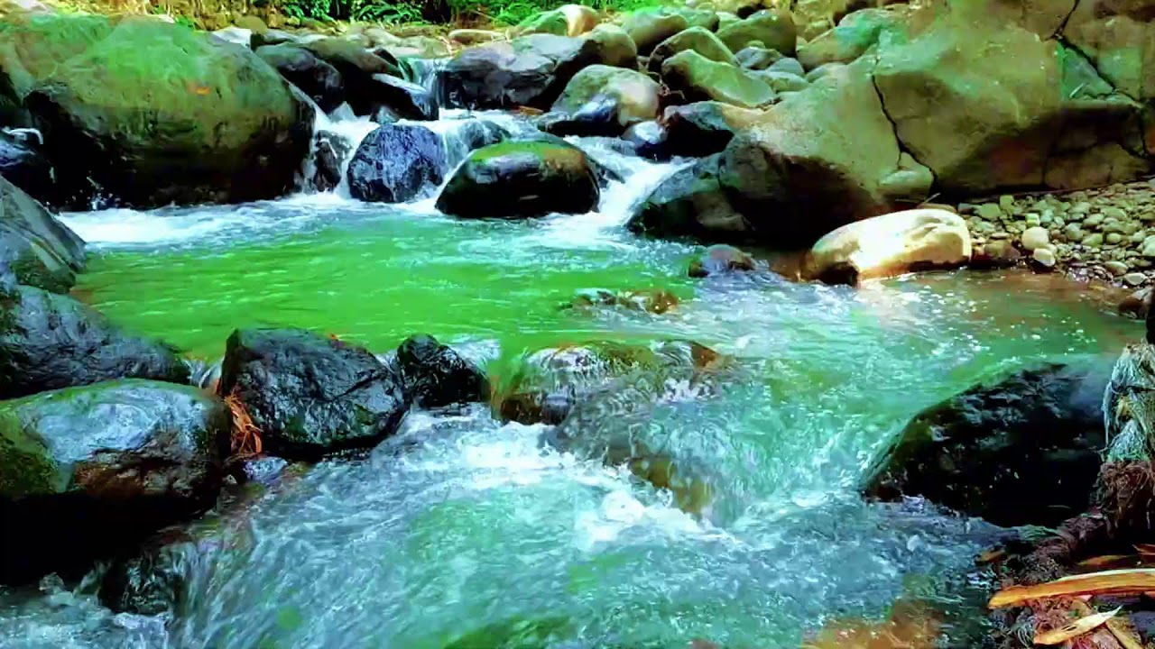 Relaxing Hidden Forest Ambience with Flowing River for Rest, Medicine Therapy and Deep Sleep