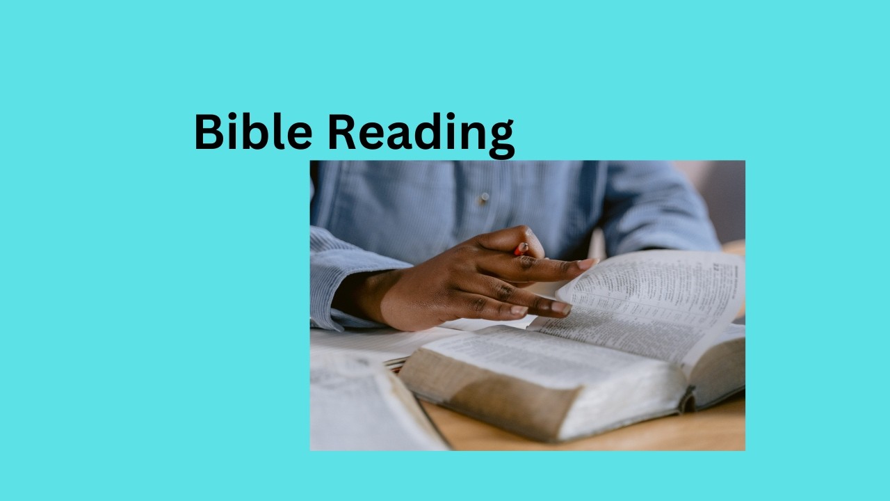 Bible Reading Leviticus 12 to 14; Psalm 111; Hebrews 5