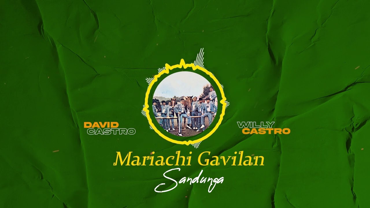David & Willy Castro Mariachi Gavilan - Sandunga (1991)