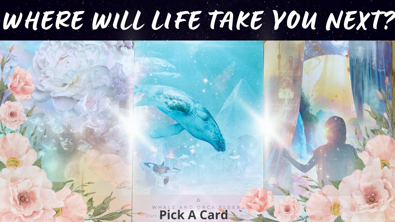 ❀Where Will Life Take You Next?❀ Pick A Card