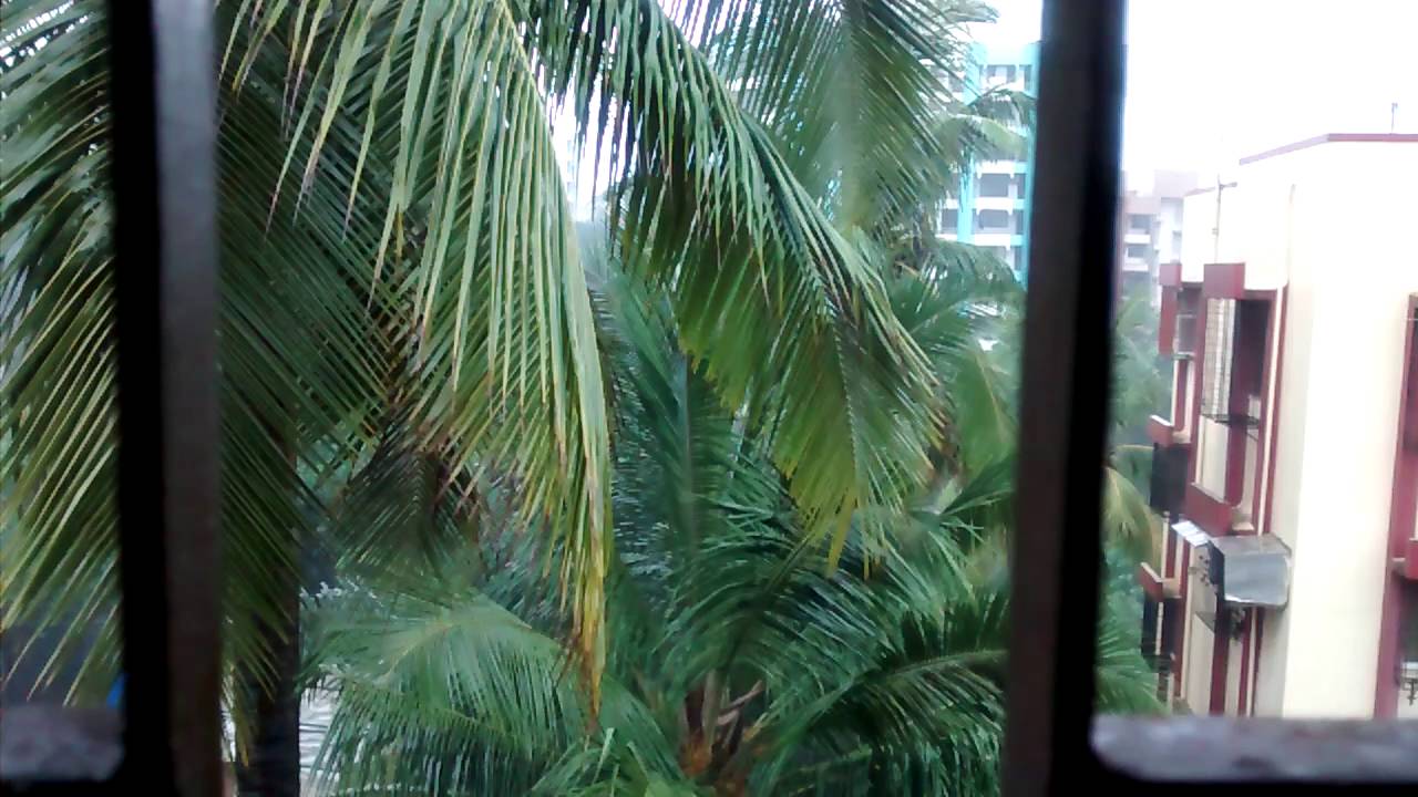 Rainy day blues