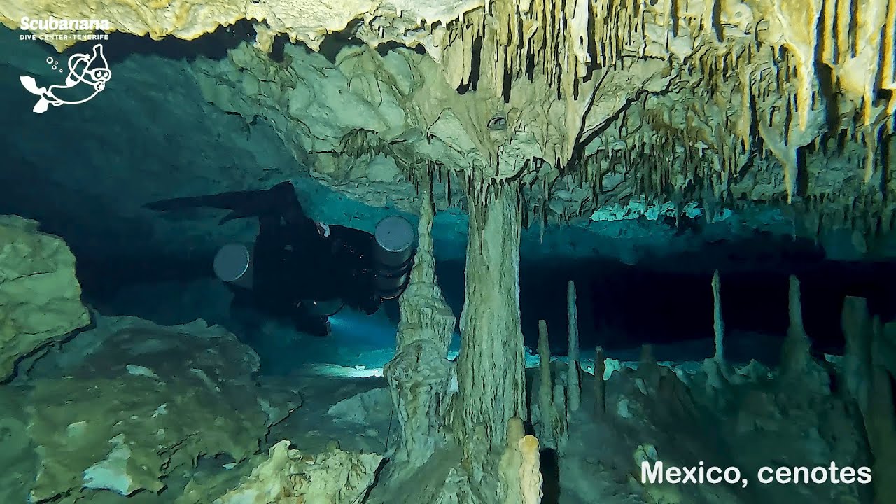 Diving Mexicos Cenotes