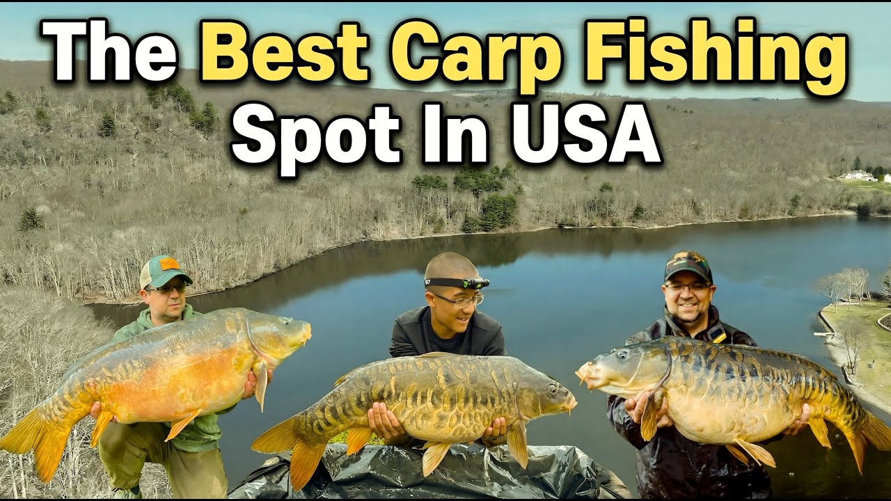 The Best Carp Fishing Spot in America