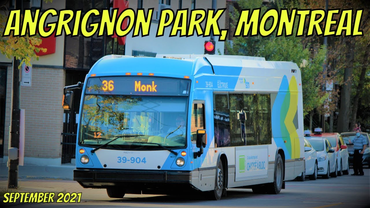 Transit Around Parc Angrignon | STM & Exo Buses (September 2021)