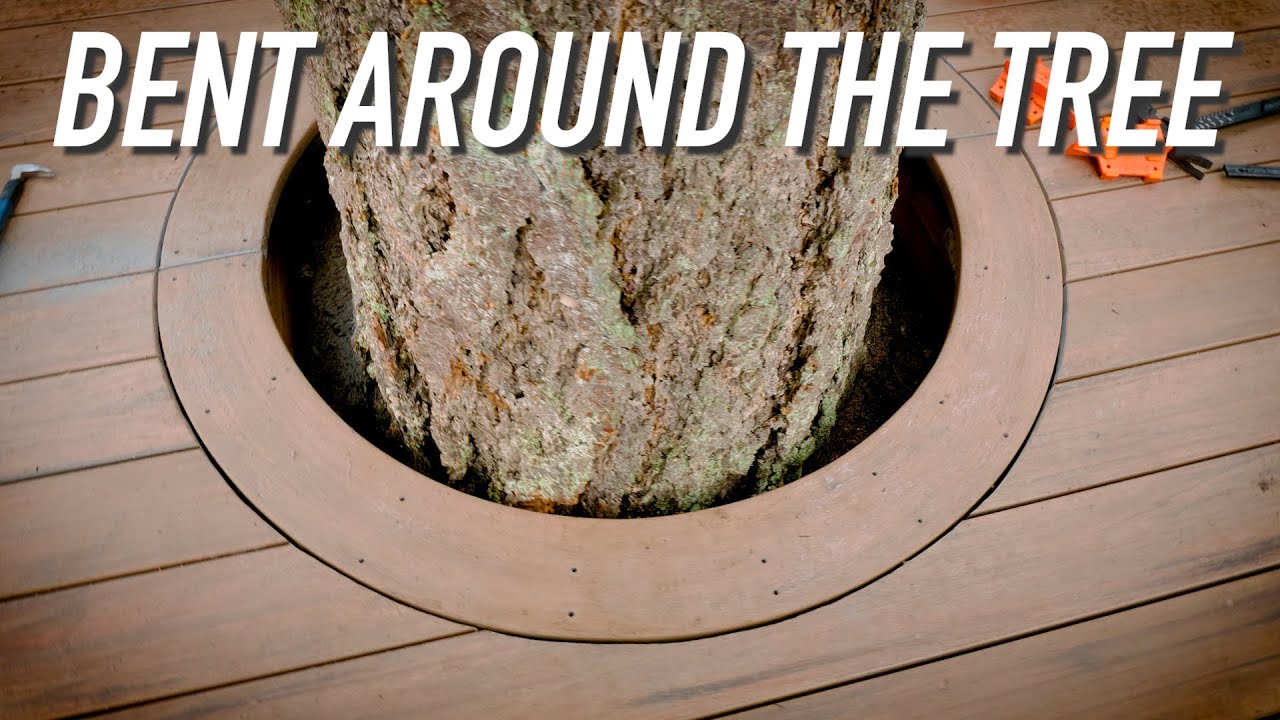 Build Update: Around The Tree || Dr Decks