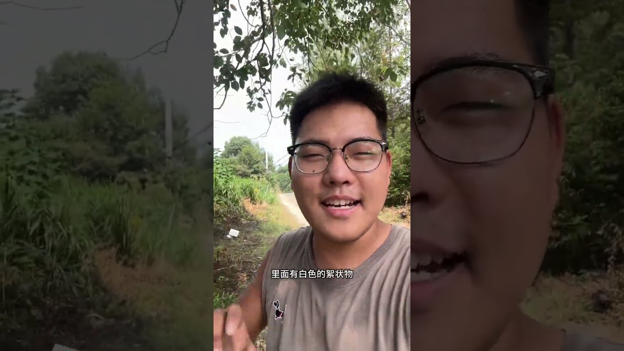 见过给鸡搬家的吗？ 今天给鸡通上干净的水源，2000只鸡全部搬家#返乡创业新农人 #鸡小邵 #我的乡村生活  #00后创业 #励志