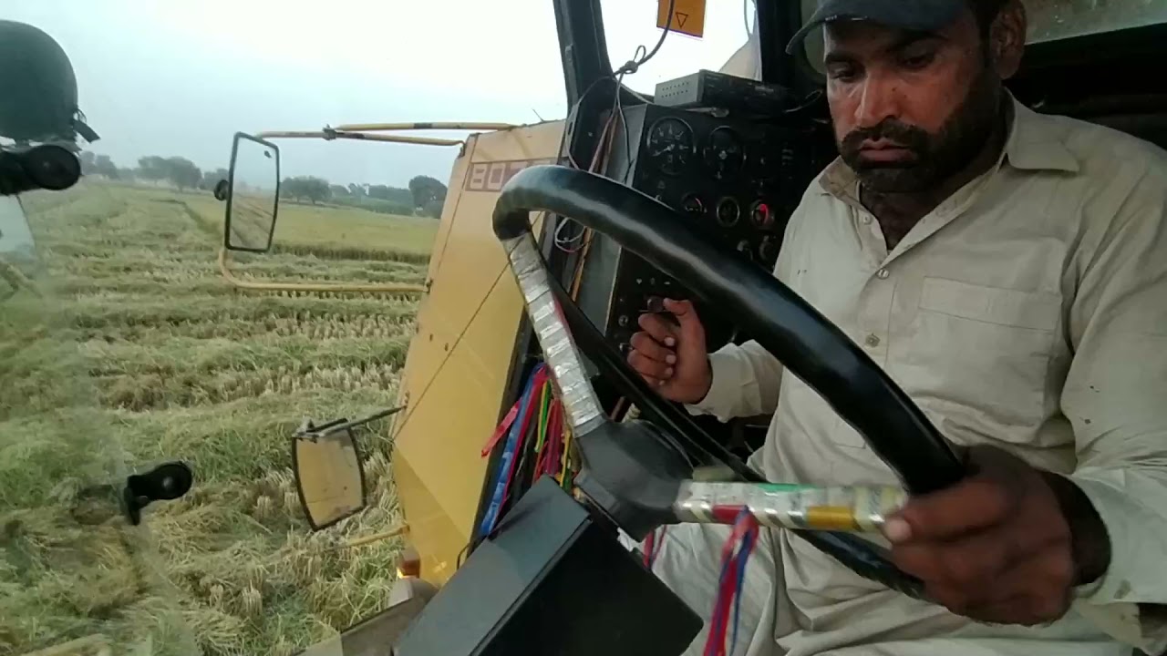 Rice Harvest Sieson 2021||New Holland 8070 ||Model 1985 ||Beautiful weather