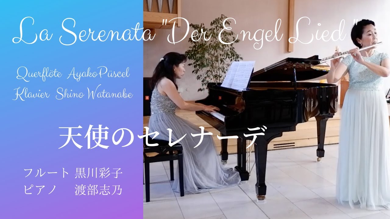 🕊G.Braga : La Serenata 