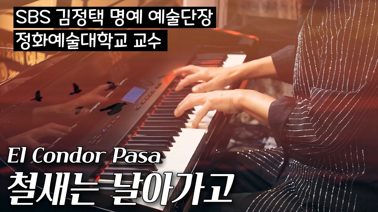 엘 콘도 파사(El Condor Pasa) - 철새는 날아가고 | SBS 김정택 명예 예술단장 피아노 연주 Pure imagination piano