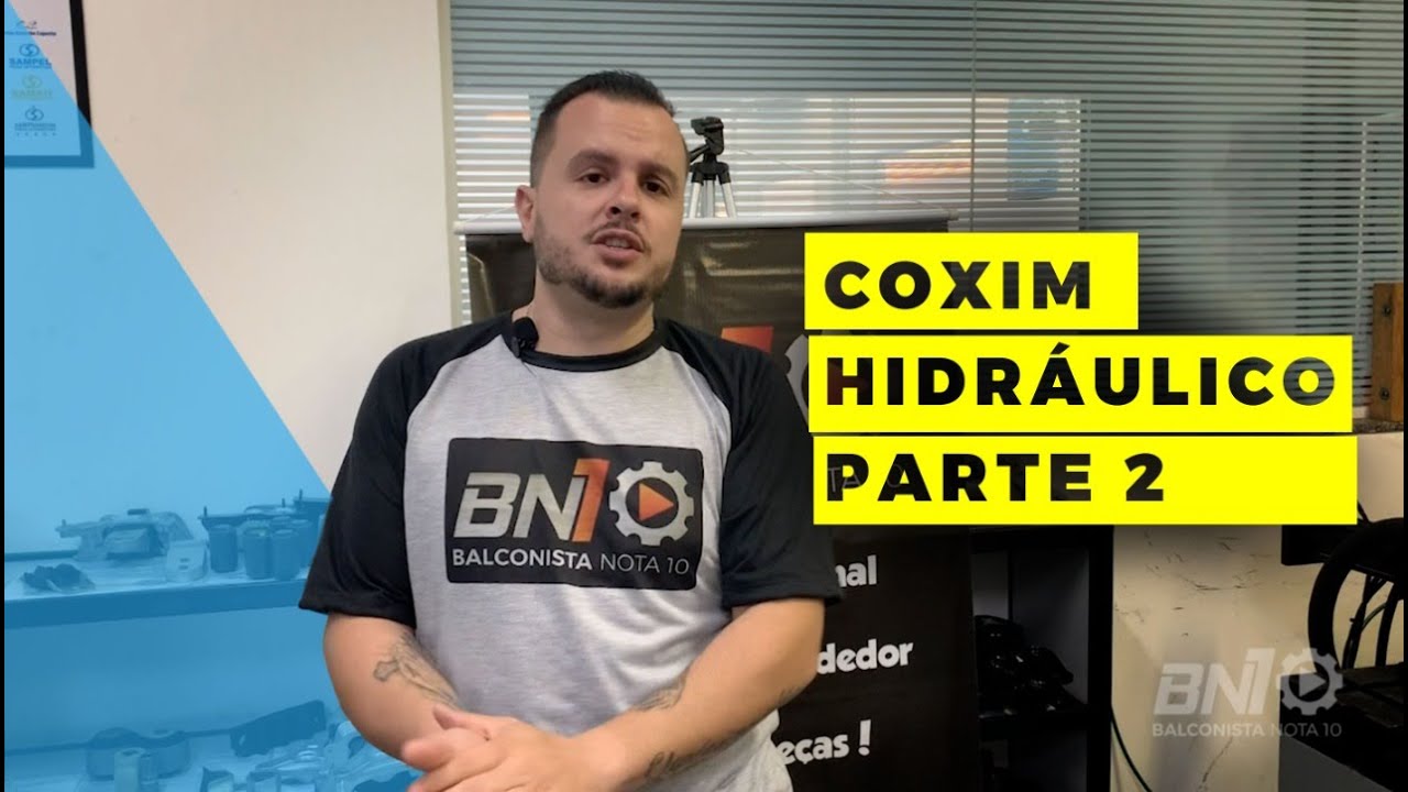 COMO FUNCIONA UM COXIM HIDRÁULICO - PARTE 2
