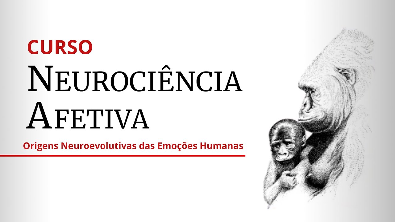 Curso de Neurociência Afetiva (Trecho da aula introdutória)